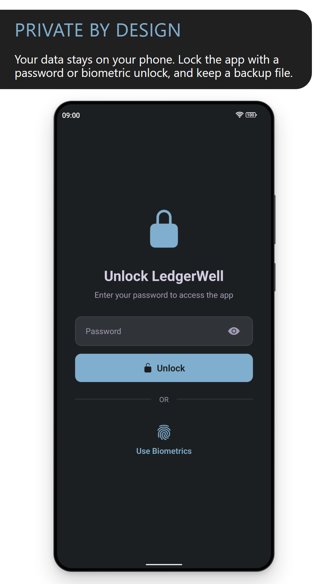 Private by design: the lock screen asking for a password to unlock LedgerWell (dark theme)